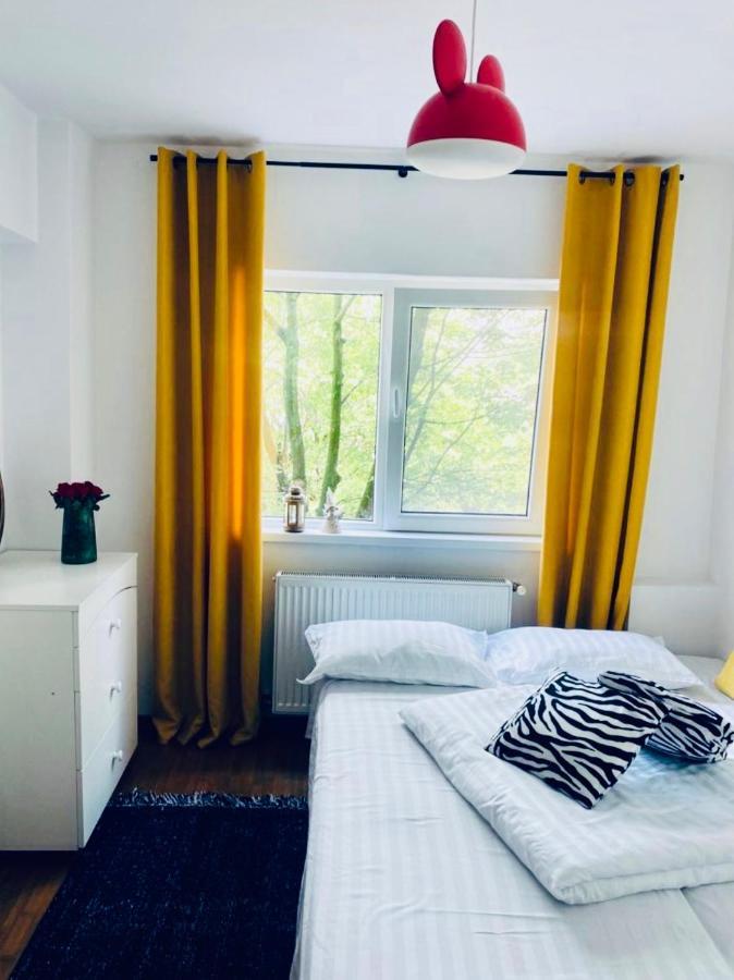 Apartament Lux Crialy - 75 M2 - Free Parking Тимишоара Экстерьер фото