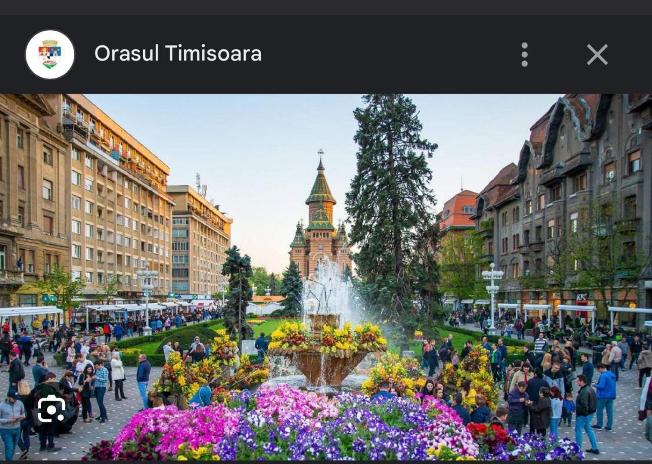 Apartament Lux Crialy - 75 M2 - Free Parking Тимишоара Экстерьер фото